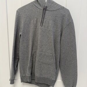 Puma Gray Hoodie